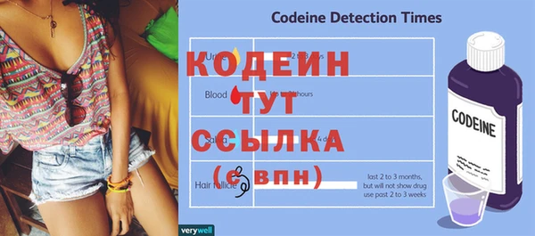 ГАЛЛЮЦИНОГЕННЫЕ ГРИБЫ Няндома