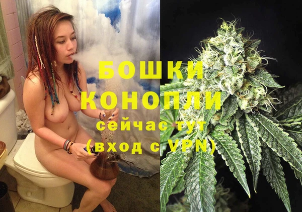 сатива Абаза